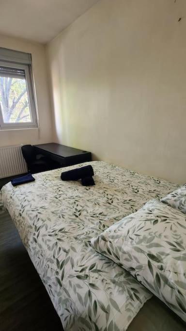 T3 Petit Confort - Proche Commodites - Parking Prive Тулуза Экстерьер фото
